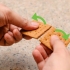 Smores in 'n magnetron maak