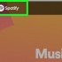 Gebruik spotify