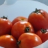 Tomaten maak
