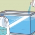 Triops versorgen