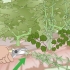 Ontslae te raak van japannese knotweed