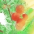 Bepaal wanneer die appels op jou appelboom ryp is
