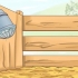 Voor babageiten sorg