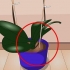Sorg vir binnenshuise plante