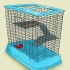 Voor chinchilla se sorg