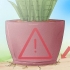 Sorg vir 'n sansevieria