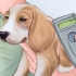 Voor 'n verwaarloosde hond sorg
