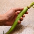 Wasabi klaarmaak