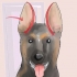 Weerspannige oren van duitse herderpuppy's tapen