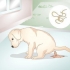 Weten of je puppy wormen het