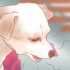 Weten wanneer jy hond kyk is