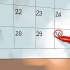 Kweek winter uie