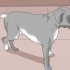 Zien of 'n hond pyn het