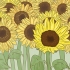 Droog sonneblomme