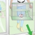 Zorgen dat cavia se warm bly