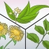 Voorkoming van swaar periodes: kan dit natuurlik gedoen word?